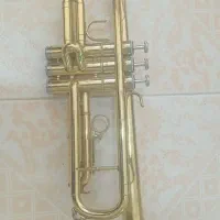 ساز ترومپت برنجی سالم|سازهای بادی|کرمان, |دیوار