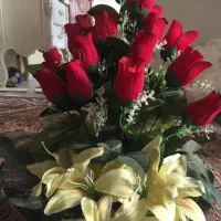 گل مصنوعی|گل مصنوعی|پاکدشت, پاکدشت (مامازند)|دیوار