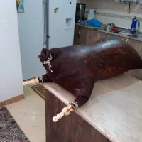 مشک سنتی ماست و دوغ زنی ومشک سقایی|خوردنی و آشامیدنی|تهران, ترمینال جنوب|دیوار