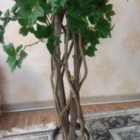 درختچه مصنوعی مینیاتوری با گلدان چوبی نو نو|گل مصنوعی|ری, علایین|دیوار