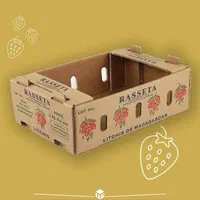 کارتن میوه|عمده‌فروشی|خرم‌آباد, |دیوار