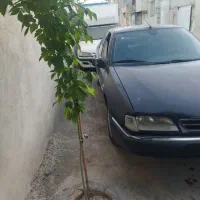 زانتیا ۲۰۰|خودرو سواری و وانت|کرمانشاه, |دیوار