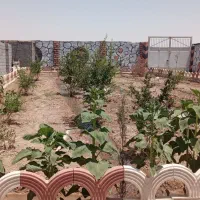 550متر باغچه|فروش زمین و ملک کلنگی|اصفهان, سرشبادران|دیوار