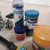 وسایل آکواریوم|لوازم جانبی حیوانات|باقرشهر, |دیوار