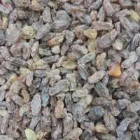 محصولات بومی