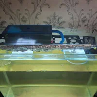 آکواریوم شیشه خم