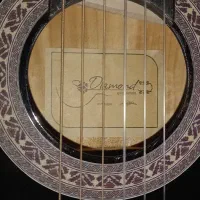 فروش گیتار همراه با کیف|گیتار، بیس، امپلیفایر|بافق, |دیوار