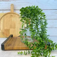 آویز شمشاد گلدار 16شاخه فقط120