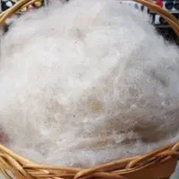 پشم حلاجی پشم