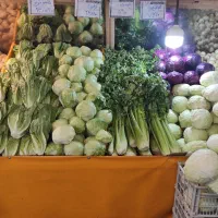 کار در میوه فروشی