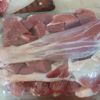 گوسفند(بره نر ماده میش بز بزغاله)کوهستانی|حیوانات مزرعه|هشتگرد, هشتگرد قدیم|دیوار