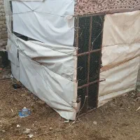 لانه توری بزرگ و محکم