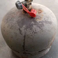 پیکنیکی