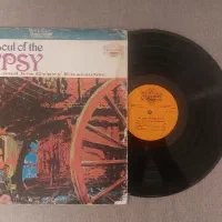 صفحه گرام ۳۳ دور