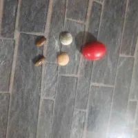 سنگ اصلی|کلکسیون اشیاء عتیقه|بروجرد, |دیوار