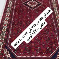 فرش دستباف( بساک ) حراج از دم قسط بدون پیش|فرش|مشکین‌دشت, |دیوار
