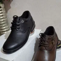 چرم اصل گاوی