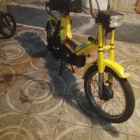 براوو عروسک پلاک داره و سند داره