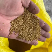 بزر یونجه|عمدهفروشی|کنگاور, |دیوار