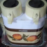 فلاکس دوقلوی ژاپنی