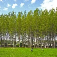 فروش-زمین-کشاورزی