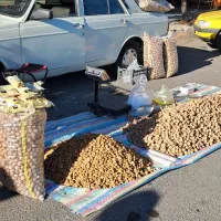 اجیل وخشکبار هورامان|حراج|بیجار, |دیوار