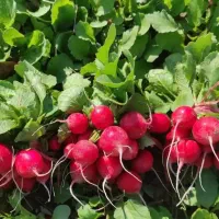 راهنمایی بفرمایید