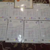 بازرگان نشسته|پرنده|باوی, |دیوار