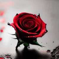 معلم خصوصی فارسی و پایه های ابتدایی