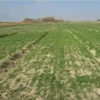 زمین-مسکونی