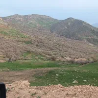 تامین نیرو کشاورزی مناسب فصل