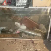 فروش یا معاوضه اکواریم بزرگ