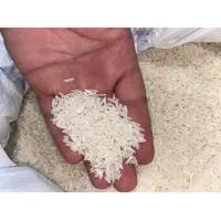 برنج فجر ،شمال