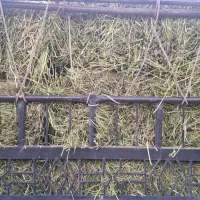 یونجه مرغوب