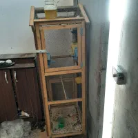 یه قفس بزرگ