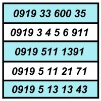 0919.2.45678.1|سیم‌کارت|پرند, فاز ۱|دیوار