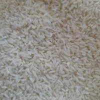 فروش ۵۰۰کیلو برنج گوندوغدو