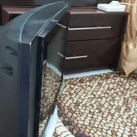 تلویزیون|تلویزیون و پروژکتور|باغستان, |دیوار