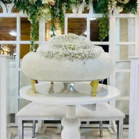 باکس نامزدی|خدمات پذیرایی، مراسم|اهواز, گلستان|دیوار