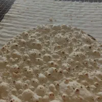 شاطر نانوای ...جله زن