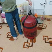 کیسه بکس