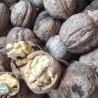 گردو مغزسفید مغز درجه یک به شرط