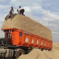 کاه باگاس|لوازم جانبی حیوانات|قزوین, |دیوار