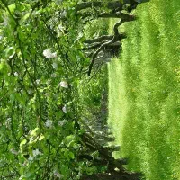 زمین متراژ ۲۰۰۰ متر معاوضه با واحد در شهر اراک