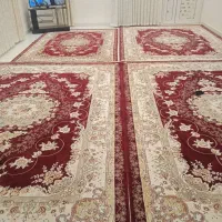 فرش|فرش|مشگین شهر, |دیوار