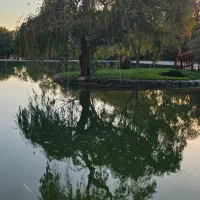 فیش حج واجب