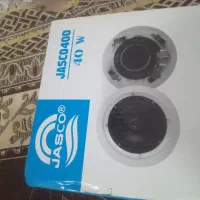 اسپیکر .باند سقفی