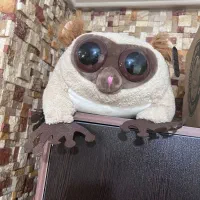 عروسک|اسباب‌‌بازی|تهران, گیشا|دیوار