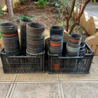 گلدان نشایی