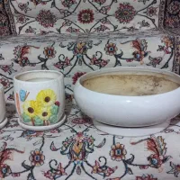 گلدان استفاده شده